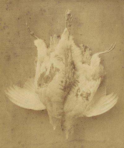 9月1日 作： William Lake Price