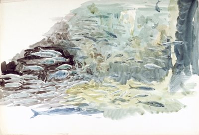 魚の群れの水中写真 作： William Lionel Wyllie