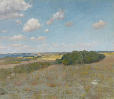 太陽の光と影、シャインコック・ヒルズ 作： William Merritt Chase