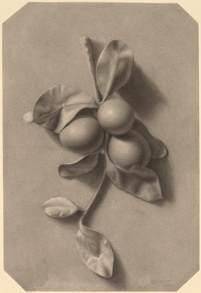 梅の小枝 作： William Michael Harnett