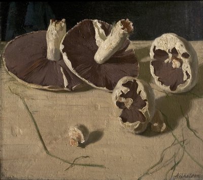 きのこ 作： William Nicholson