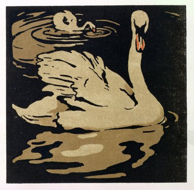 美しい白鳥、ウィリアム・ハイネマン発行の「The Square Book of Animals」のイラスト 作： William Nicholson