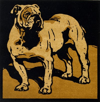 ウィリアム・ハイネマンが発行した「The Square Book of Animals」の英国のブルドッグ 作： William Nicholson