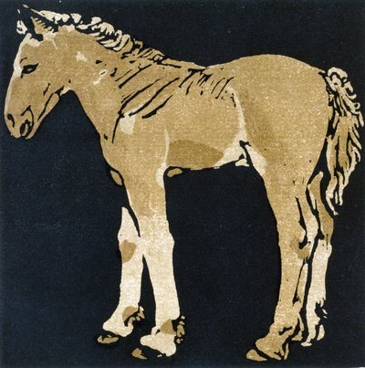 ウィリアム・ハイネマンが発行した「The Square Book of Animals」の成長するコルト 作： William Nicholson