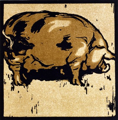 ウィリアム・ハイネマン発行の「The Square Book of Animals」より、学んだ豚 作： William Nicholson