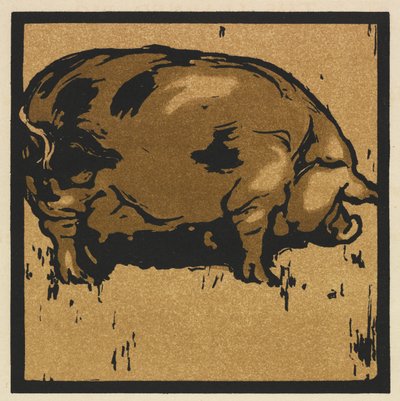 四角い動物の本: 学んだ豚 作： William Nicholson