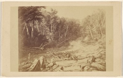 [カヌーに乗った男が釣りをしている川の情景を描いた絵のコピー]。 作： William Notman