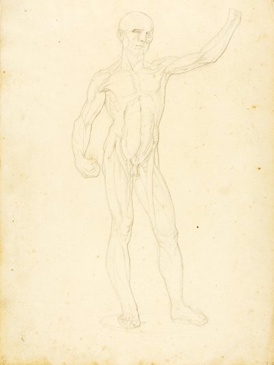 (エコルシェ、正面） 作： William Page