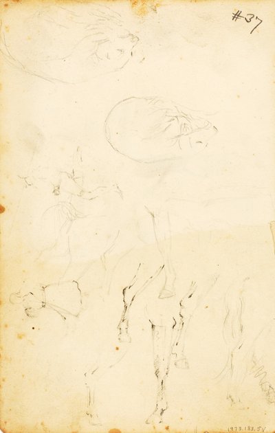 (図、丸太、馬と騎手など）。 作： William Page