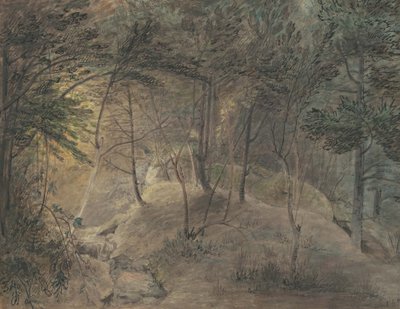エコーのスプリングハウスからの眺め、1808年頃（水彩紙と織り紙のインク） 作： William Russell Birch