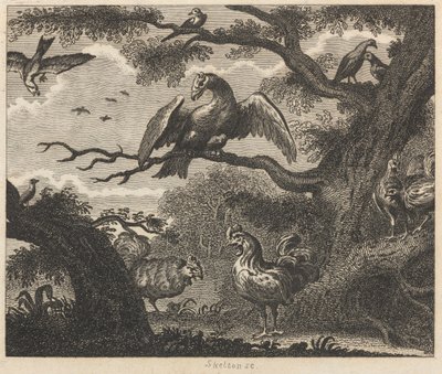 ハゲワシ、スズメ、その他の鳥 作： William Skelton