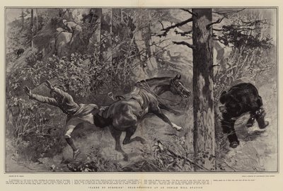 インディアンヒルステーションでのクマの驚きの撮影 作： William Small