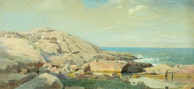 日没時のメイン海岸（紙にミクストメディア） 作： William Stanley Haseltine