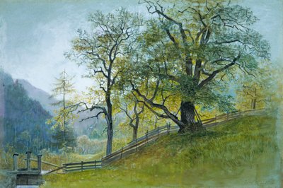 ブリクセン近郊のチロル地方のヴァールン。 作： William Stanley Haseltine