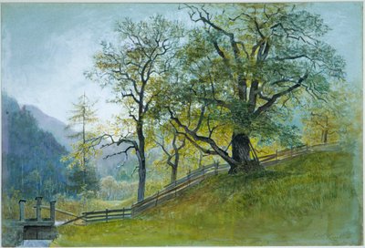 ブリクセン近郊のチロル地方にあるヴァールン 作： William Stanley Haseltine