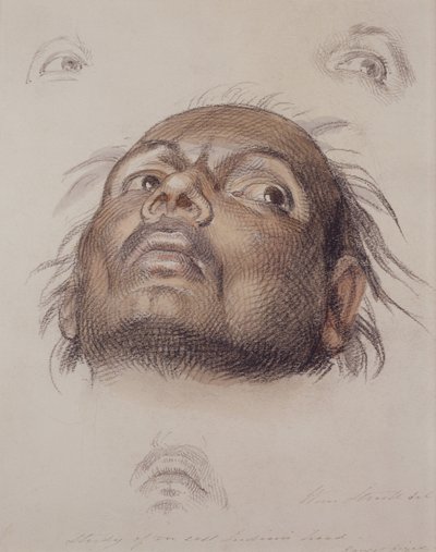 東インディアンの頭の研究、1875年頃（クレヨンと紙で洗う） 作： William Strutt