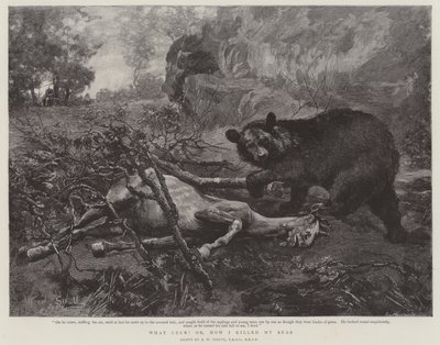 なんて運だ！または、クマを殺した方法 作： William Strutt
