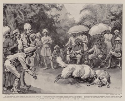 インドのネイティブスポーツ、ベンガルでのラムファイト 作： William T. Maud