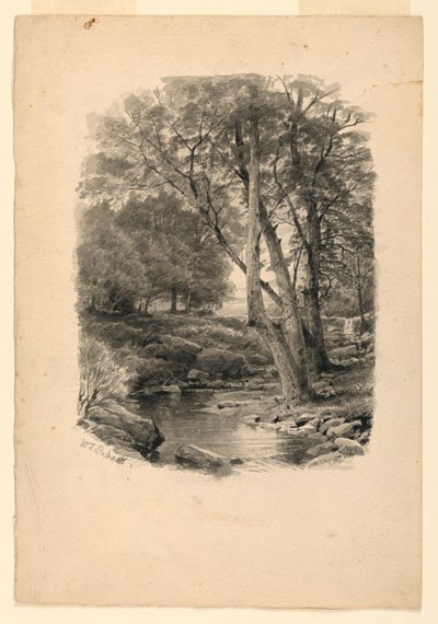 ドローイング、森の中のプール、1874年 作： William Trost Richards