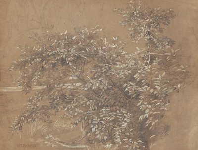 葉 作： William Trost Richards