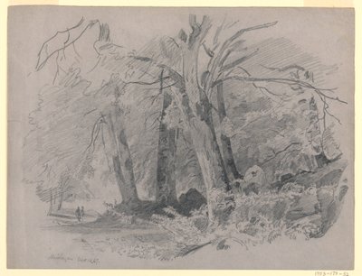 風景, マイリンゲン, スイス 作： William Trost Richards
