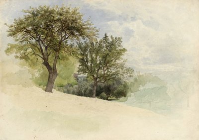 丘の中腹の木のある風景、1880-85年（WC、グラファイト、クリーム色の厚手の織り紙に白いガッシュを添えたもの） 作： William Trost Richards