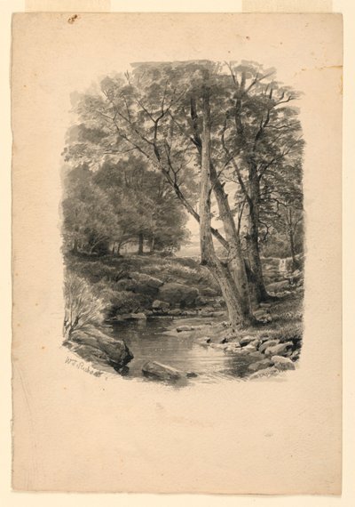 森の中のプール 作： William Trost Richards