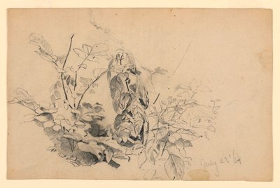 葉の研究 作： William Trost Richards