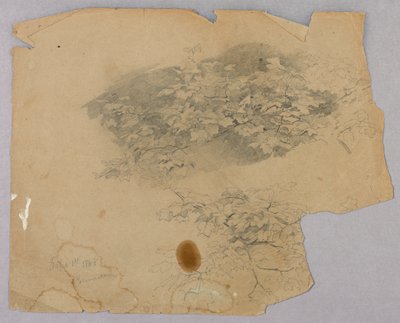 葉の研究 作： William Trost Richards
