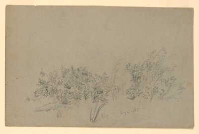 葉の研究 作： William Trost Richards