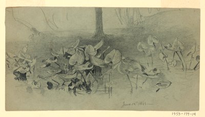 葉の研究 作： William Trost Richards