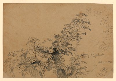 葉の研究 作： William Trost Richards