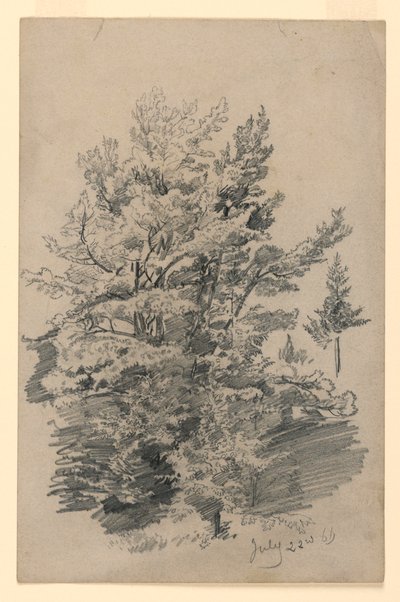 葉の研究 作： William Trost Richards