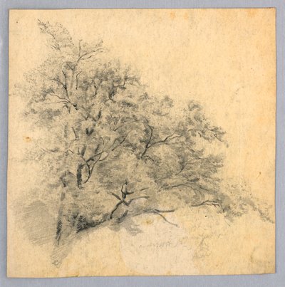 葉の研究 作： William Trost Richards