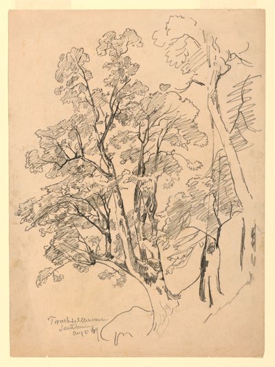 葉の研究、Trachselwald、ベルン、スイス 作： William Trost Richards