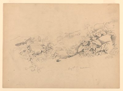 葉の研究、Trachselwald、ベルン、スイス 作： William Trost Richards
