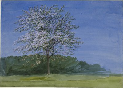 咲く木の研究 作： Joseph Mallord William Turner