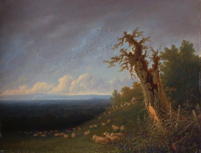 丘の中腹の羊飼いの少年 作： William Turner of Oxford