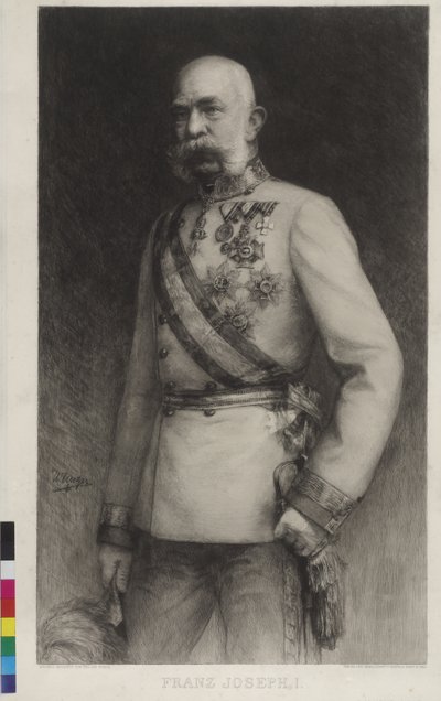 フランツ・ヨーゼフ1世の野戦大将服姿 作： William Unger