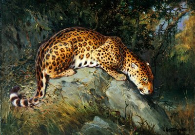 岩にしゃがむヒョウ（油彩、キャンバス、板張り） 作： William Woodhouse