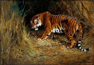A Prowling Tiger（油彩・キャンバス・ボード） 作： William Woodhouse