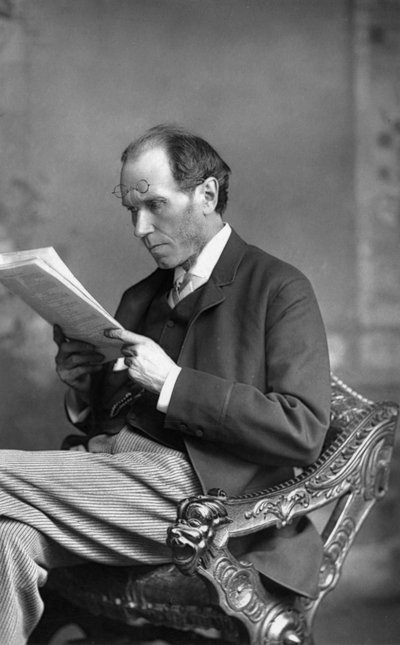 ジェームズペイン1830-1898、イギリスの小説家、1890年。 作： William and Daniel Downey