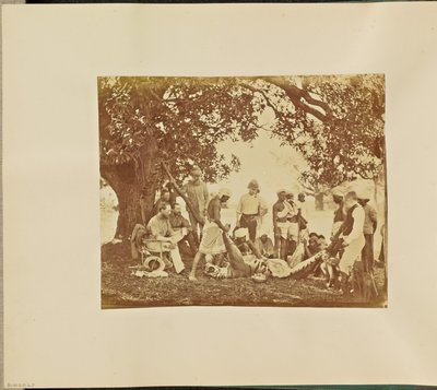 [虎の死骸］ 作： Willoughby Wallace Hooper