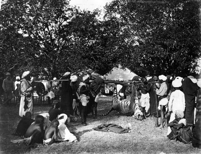 インドの虎狩り、1870年代頃 作： Willoughby Wallace Hooper