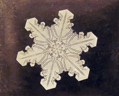 スノーフレークの研究 作： Wilson A. Bentley