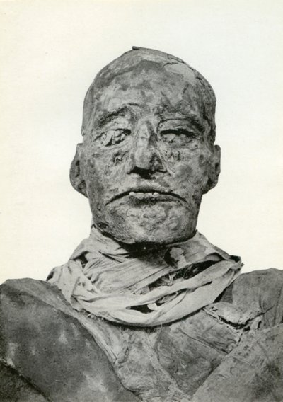 ラメセス3世のミイラの頭、第20王朝の古代エジプトのファラオ、紀元前1156年、紀元前1926年 作： Winifred Mabel Brunton