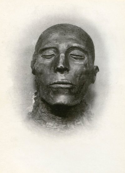 第19王朝の古代エジプトのファラオ、セティ1世のミイラの頭、紀元前1279年、紀元前1926年。 作： Winifred Mabel Brunton
