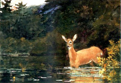 A Doe、1889 作： Winslow Homer