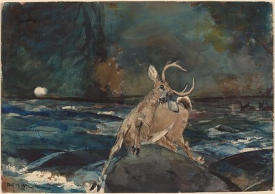 いいショット、アディロンダック 作： Winslow Homer