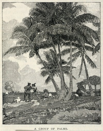 ヤシの群生（『センチュリー』誌1887年2月号より 作： Winslow Homer
